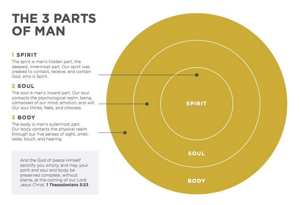 Spirit Of Man Readjw Info